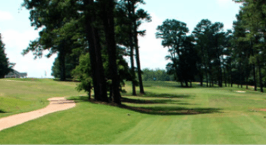 course-image