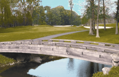 course-image