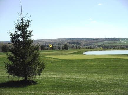 course image