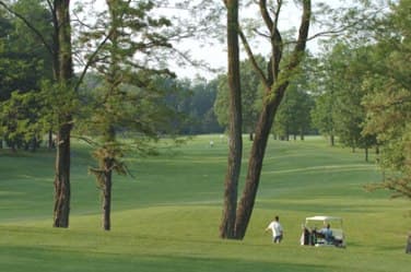 course-image
