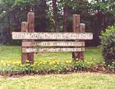 course-image