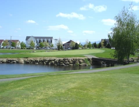 course image