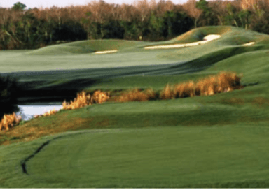 course-image