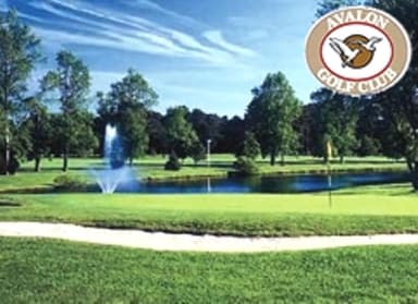 course-image