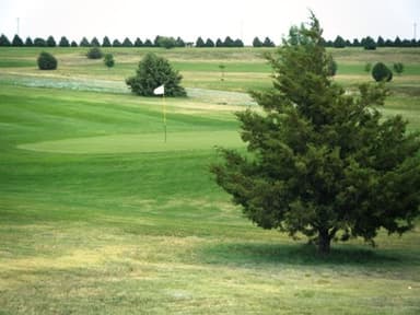 course-image