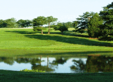 course-image
