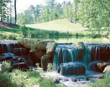 course-image