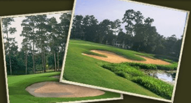 course-image