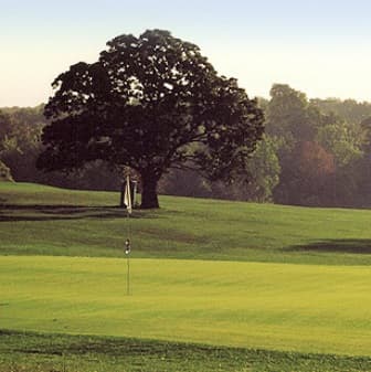 course-image