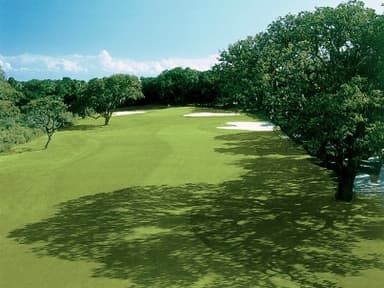 course-image