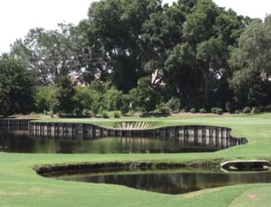 course-image