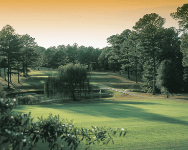 course-image