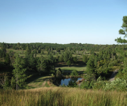 course-image
