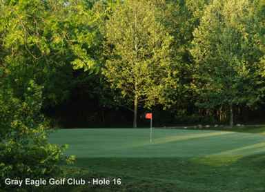 course-image