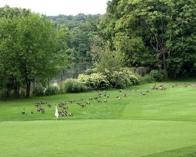 course-image