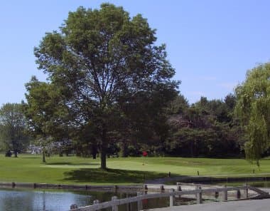 course-image
