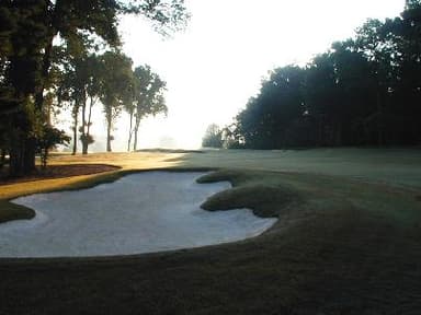 course-image