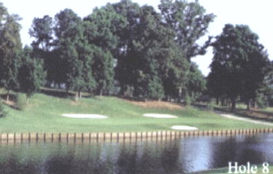 course image