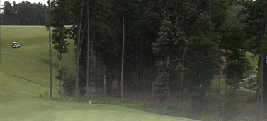 course-image