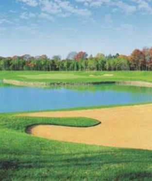 course-image