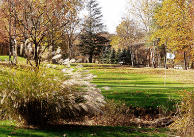 course-image
