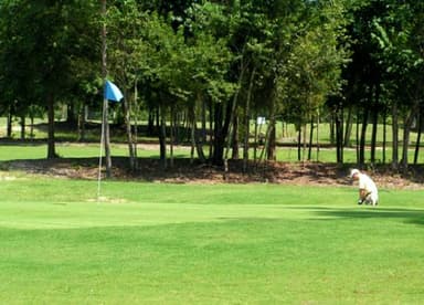 course-image