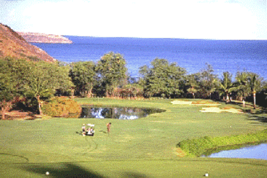 course-image