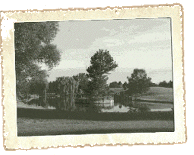 course-image