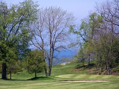 course-image