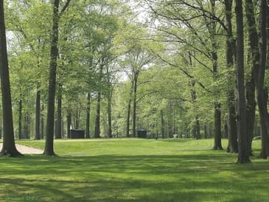 course-image