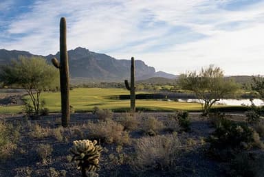 course-image