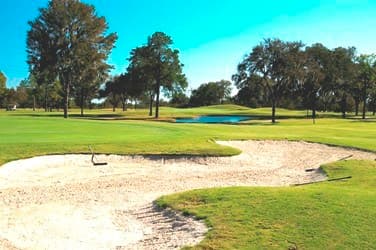 course-image