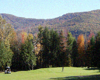 course-image