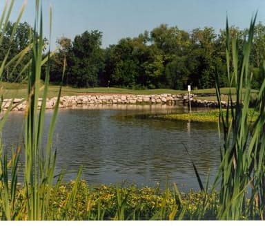 course-image