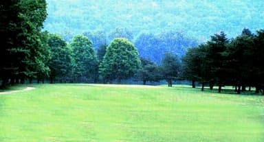 course-image