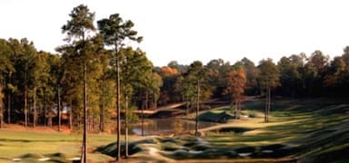 course-image