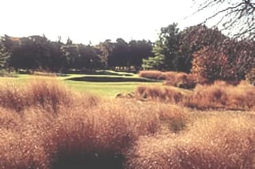 course-image
