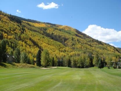 course image