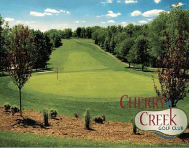 course-image