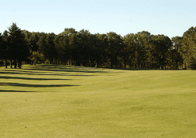 course-image