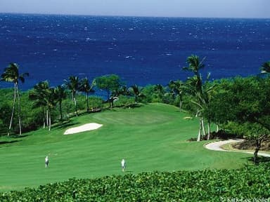 course-image