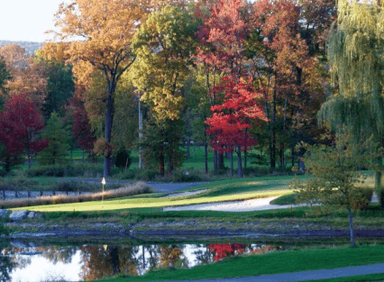 course-image