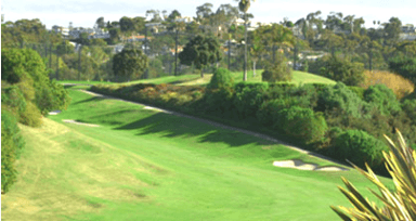 course-image