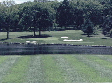 course-image