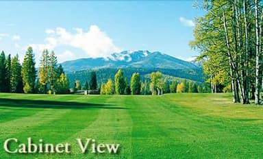 course-image
