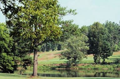 course-image
