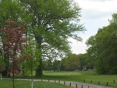 course-image