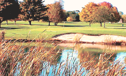 course-image
