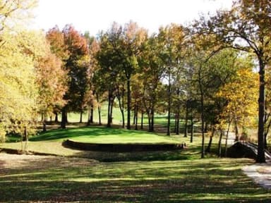 course-image