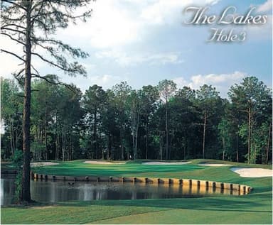 course-image